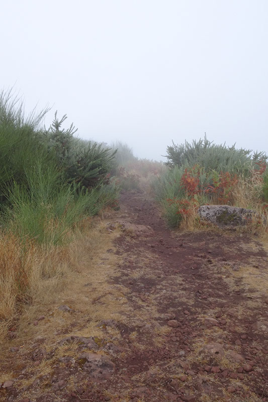 %_tempFileNameDSC01194%