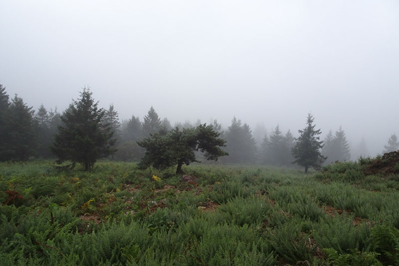 %_tempFileNameDSC01203%