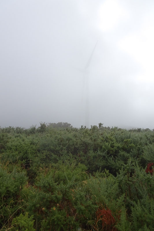 %_tempFileNameDSC01222%