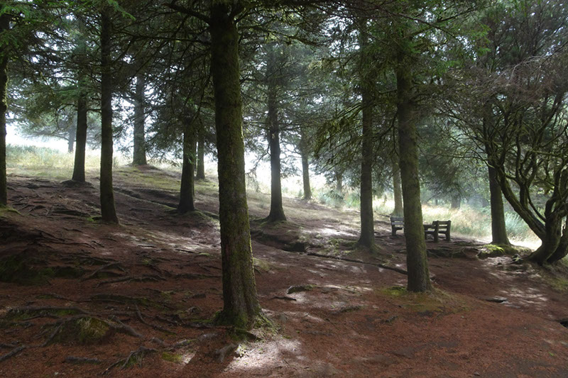 %_tempFileNameDSC01246%