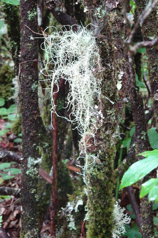 %_tempFileNameDSC01251%