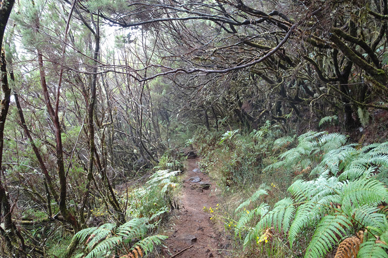 %_tempFileNameDSC01257%