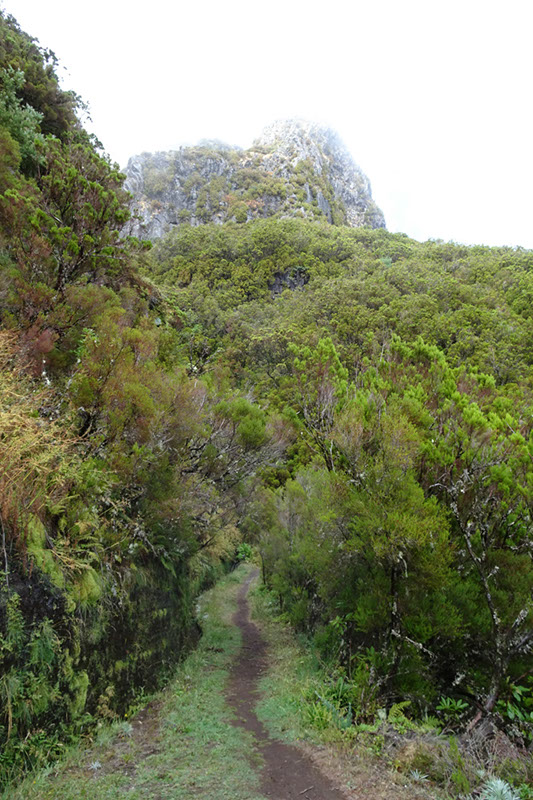 %_tempFileNameDSC01275%