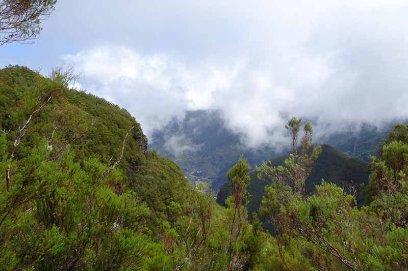 %_tempFileNameDSC01278%