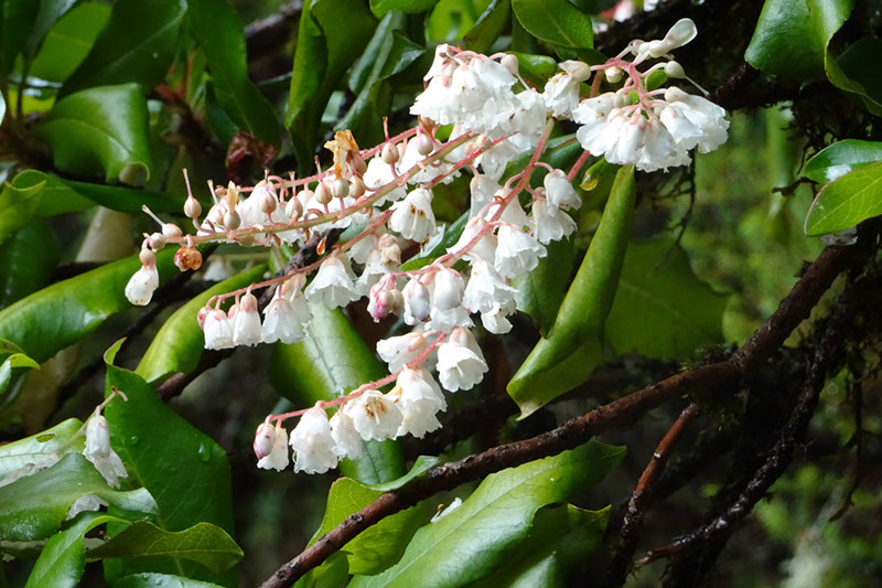 %_tempFileNameDSC01283%