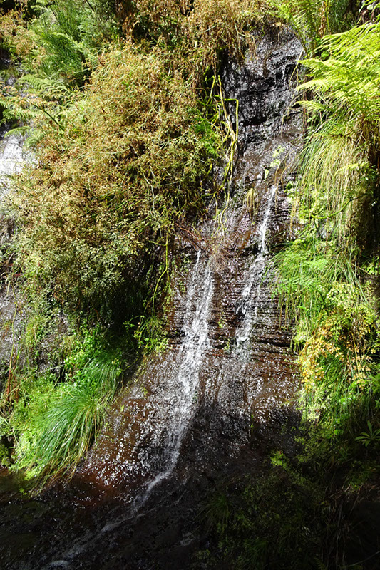 %_tempFileNameDSC01290%