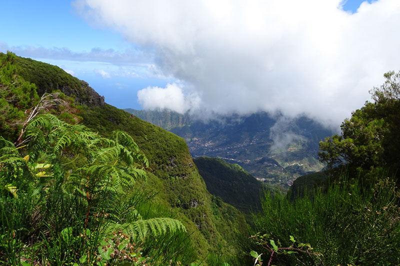 %_tempFileNameDSC01293%