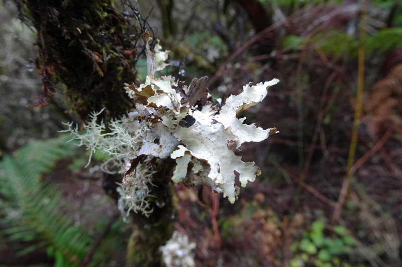 %_tempFileNameDSC01303%