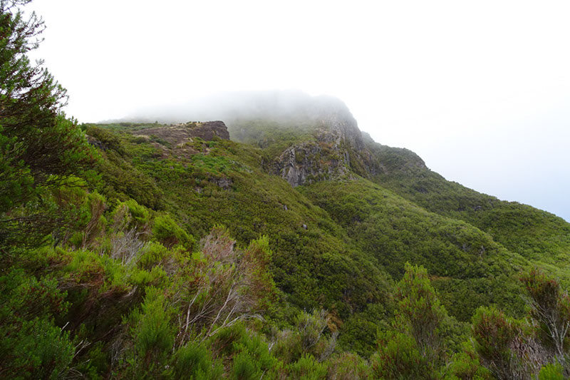 %_tempFileNameDSC01304%