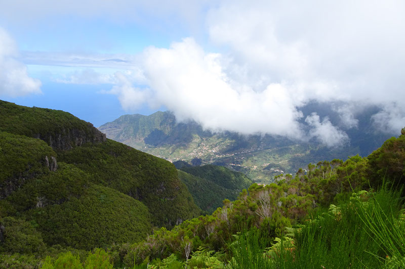 %_tempFileNameDSC01305%