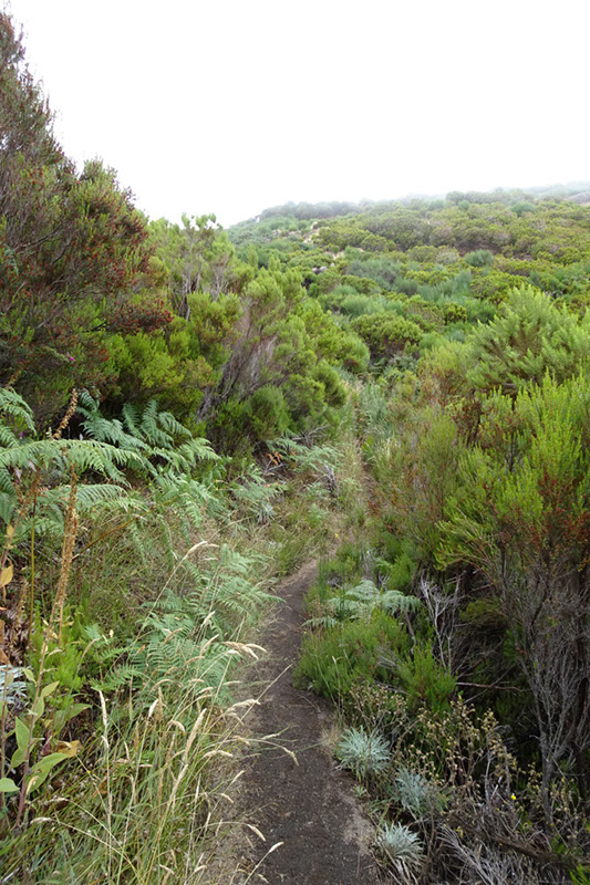 %_tempFileNameDSC01317%