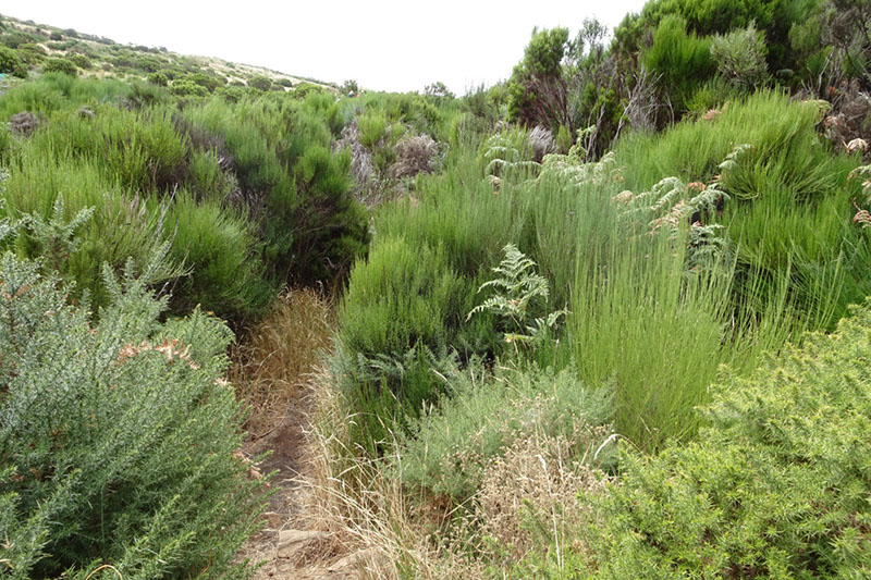 %_tempFileNameDSC01320%