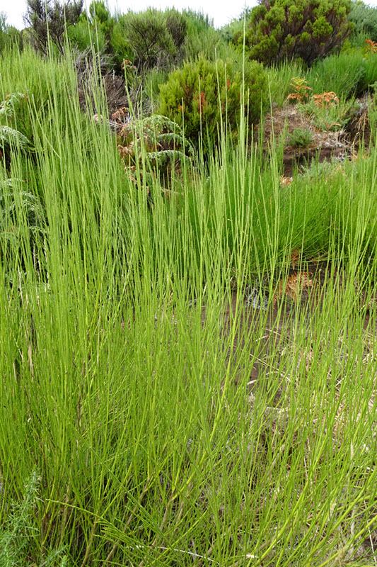 %_tempFileNameDSC01321%