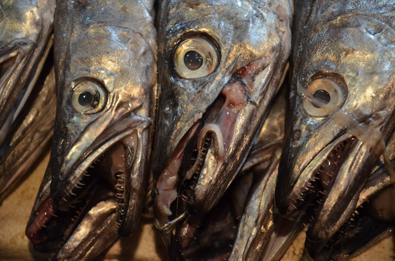 %_tempFileNameA_009%