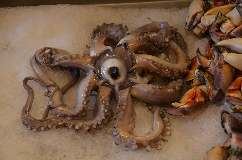 %_tempFileNameA_010%