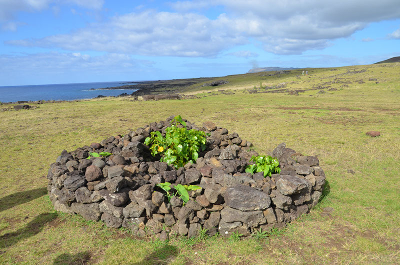 %_tempFileNameB_020%