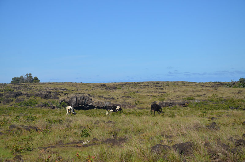 %_tempFileNameB_099%