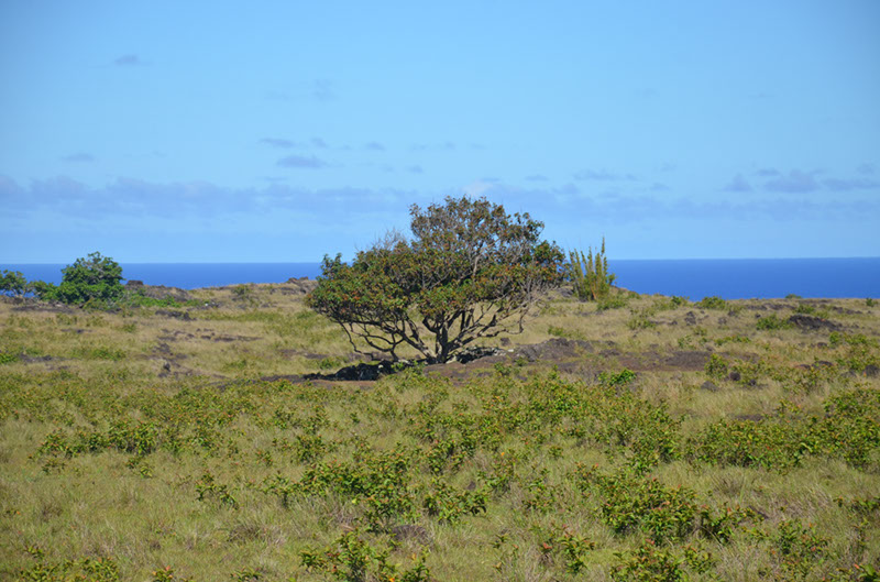 %_tempFileNameB_100%