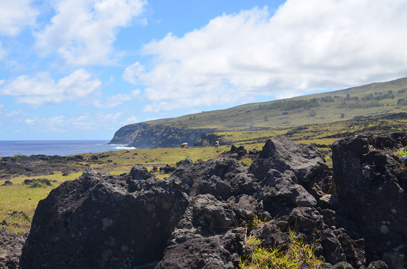 %_tempFileNameB_114%