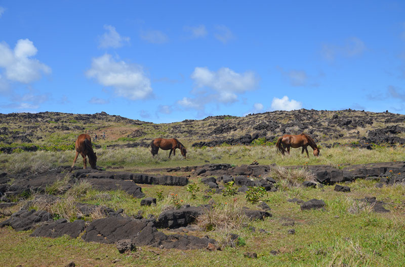 %_tempFileNameB_115%