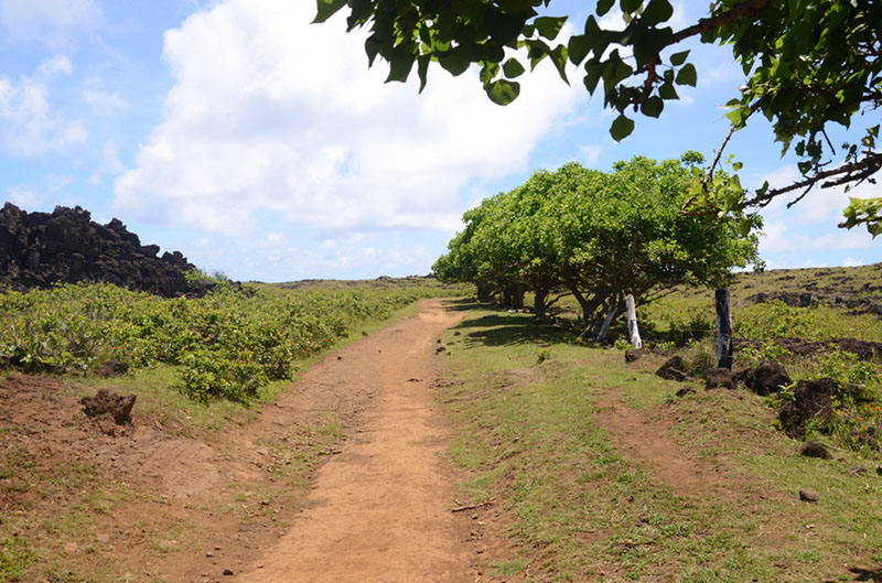 %_tempFileNameB_123%