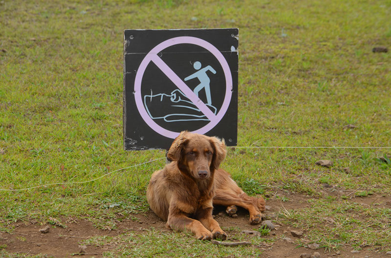 %_tempFileNameB_134%