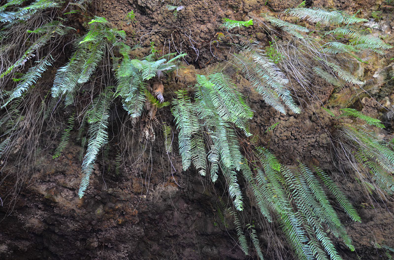 %_tempFileNameC_009%