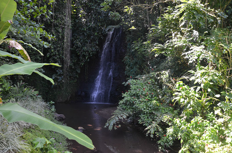 %_tempFileNameC_011%