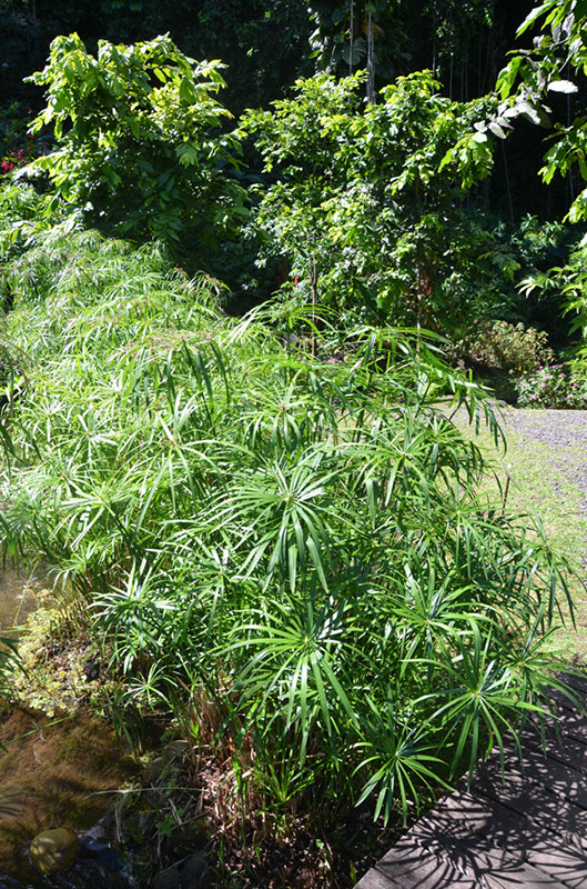 %_tempFileNameC_013%