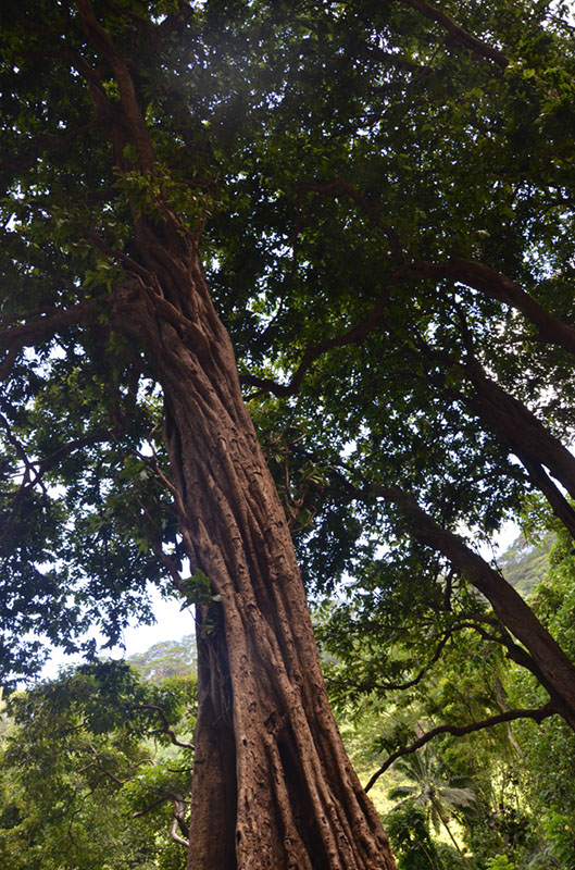 %_tempFileNameC_016%