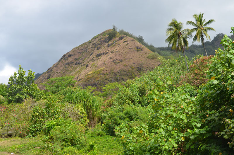 %_tempFileNameC_029%