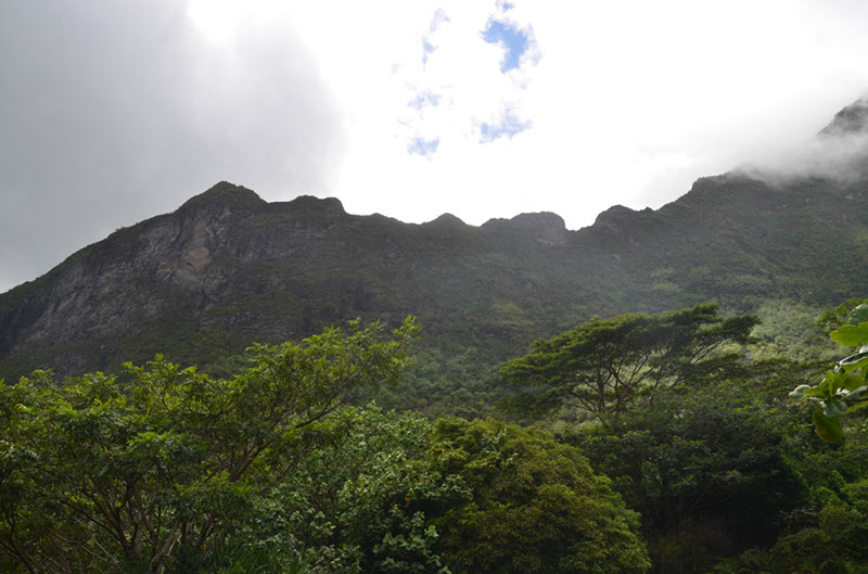 %_tempFileNameC_035%