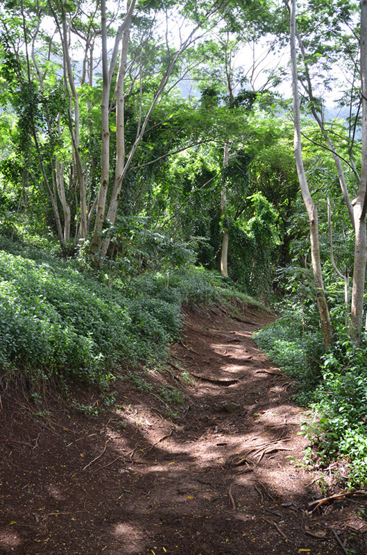 %_tempFileNameC_038%