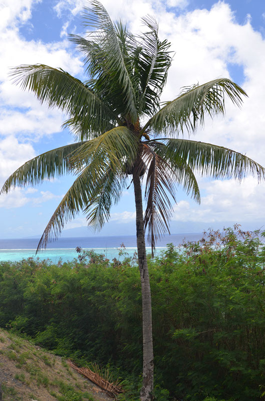 %_tempFileNameC_042%