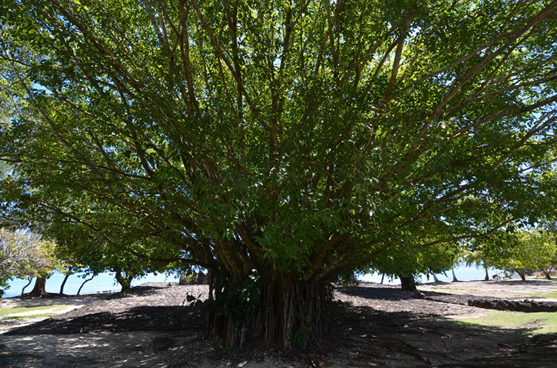 %_tempFileNameC_066%