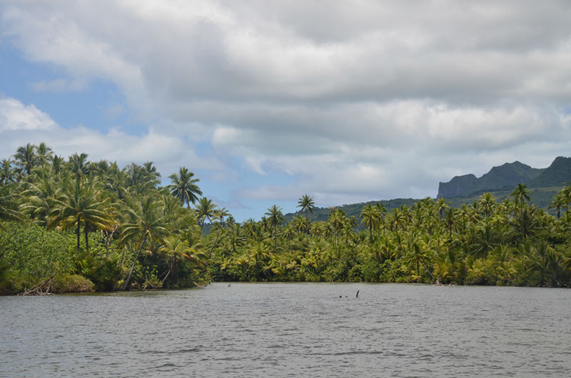 %_tempFileNameC_068%