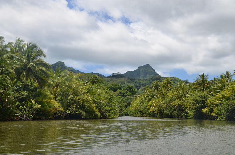 %_tempFileNameC_069%