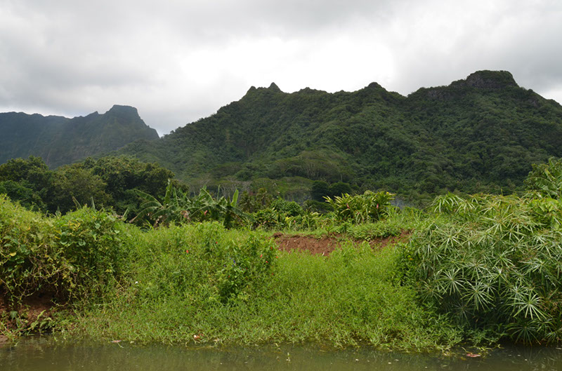 %_tempFileNameC_071%