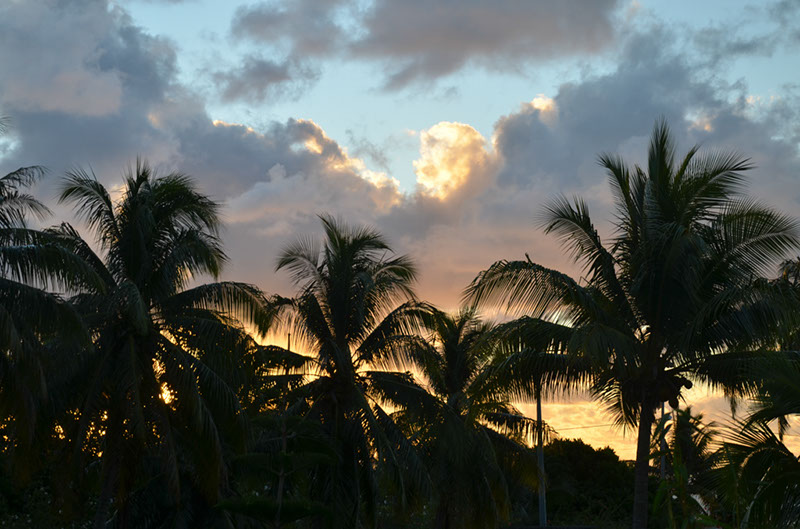 %_tempFileNameC_080%